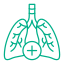 Pulmonology Icon Lungs icon representing pulmonology services